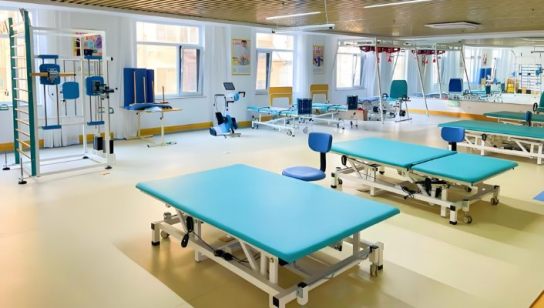 画川康复器材——平衡踩踏车